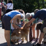 Blessing of the Animals service photo