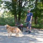 Blessing of the Animals service photo