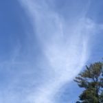 photo of a cloud that looks like a dove