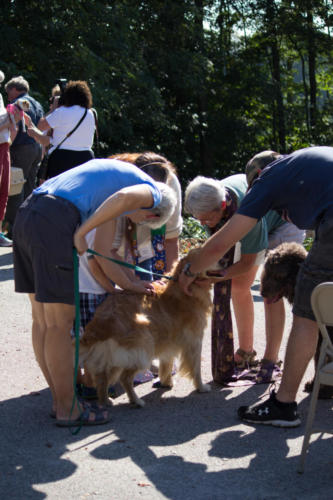 Blessing of the Animals service photo