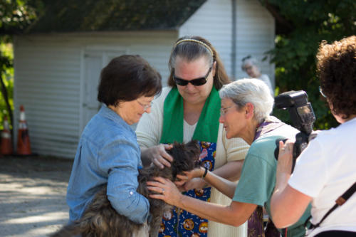 Blessing of the Animals service photo