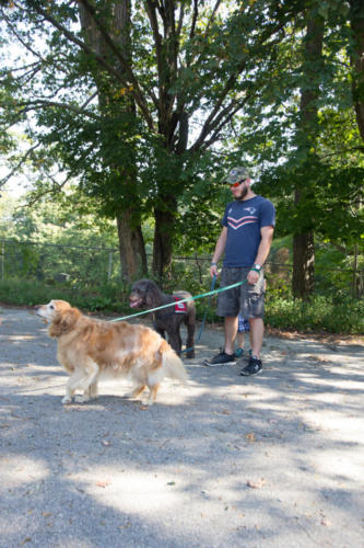 Blessing of the Animals service photo