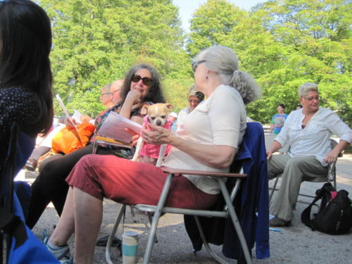 Blessing of the Animals service photo